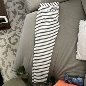 Express editor ankle pants